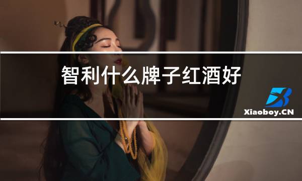 智利什么牌子红酒好