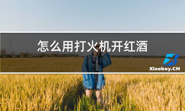 怎么用打火机开红酒