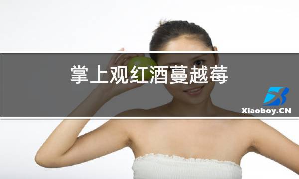 掌上观红酒蔓越莓