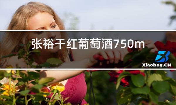张裕干红葡萄酒750ml价格图片