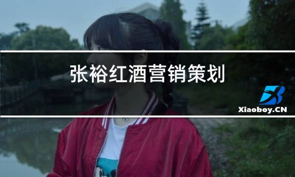 张裕红酒营销策划