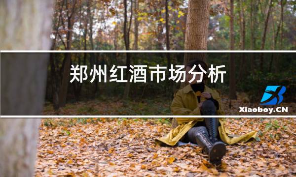 郑州红酒市场分析