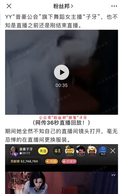 yy直播显示摄像头被占用配图