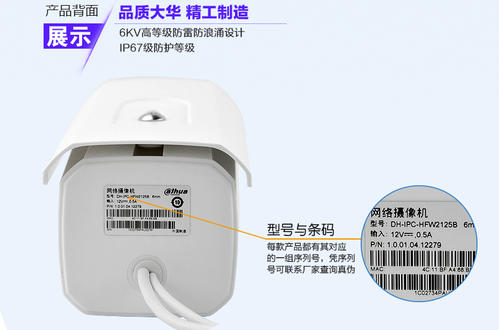 杂牌摄像头ip配图