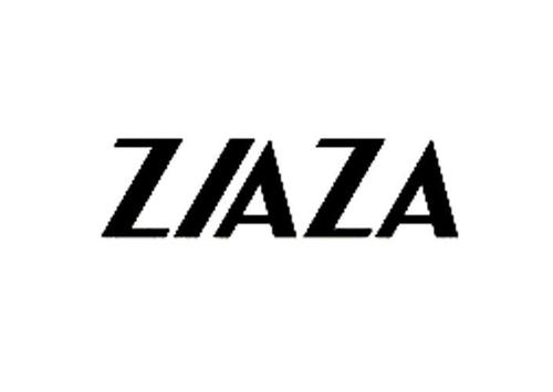 ziaza摄像头app配图