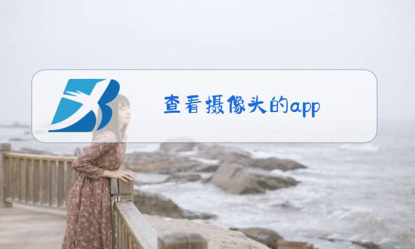 查看摄像头的app图片