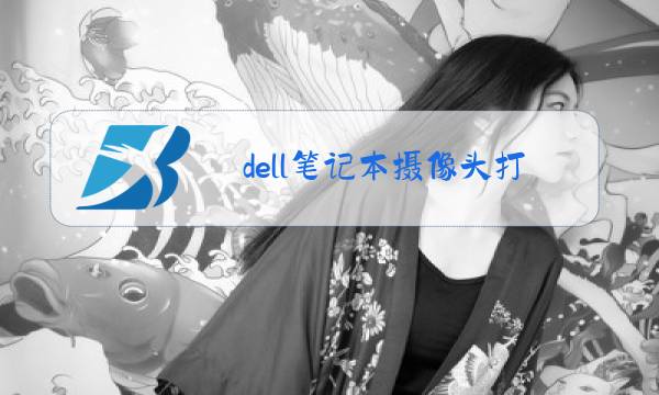 dell笔记本摄像头打不开图片