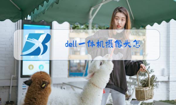 dell一体机摄像头怎么打开图片