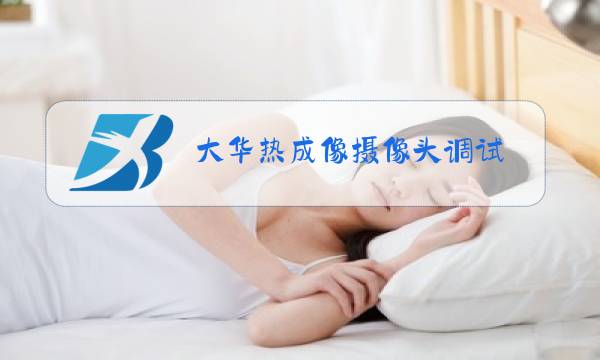 大华热成像摄像头调试图片