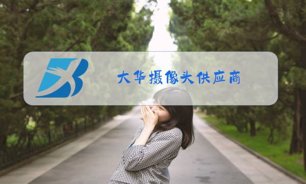 大华摄像头供应商图片