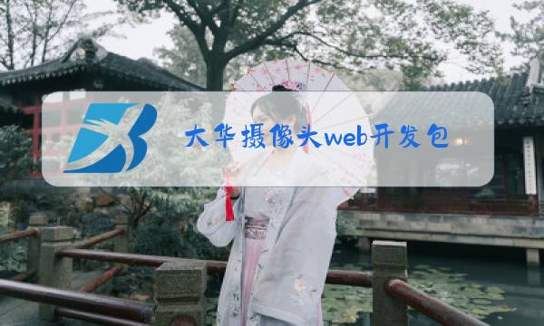 大华摄像头web开发包图片