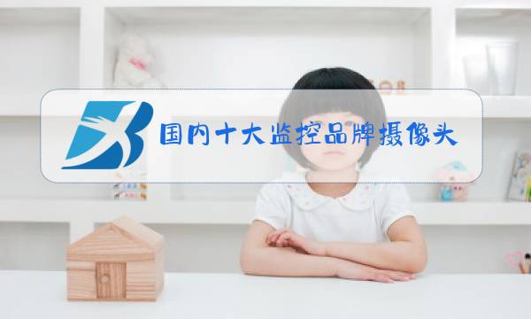 国内十大监控品牌摄像头排名图片