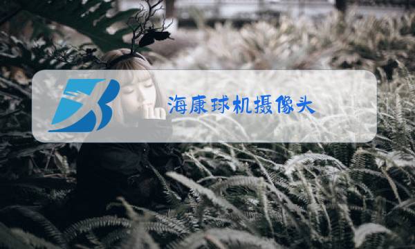 海康球机摄像头图片