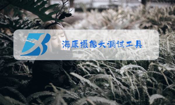 海康摄像头调试工具图片