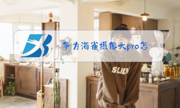 华为海雀摄像头pro怎么看回放图片