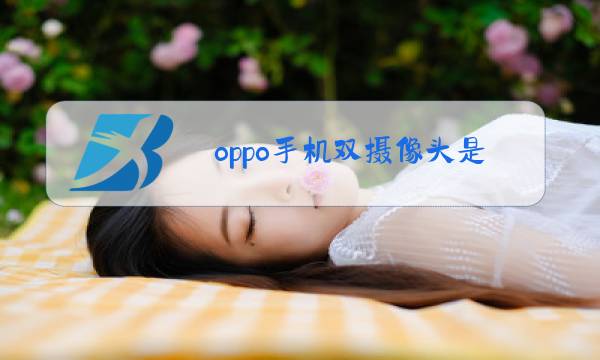 oppo手机双摄像头是什么型号图片