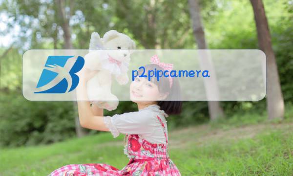 p2pipcamera摄像头图片