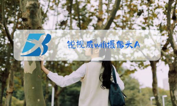 锐视威wifi摄像头APP下载图片