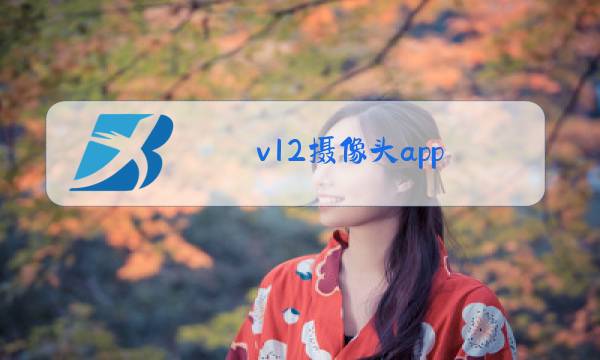 v12摄像头app图片