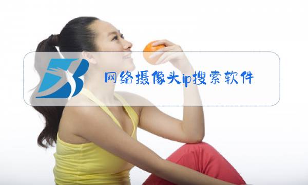网络摄像头ip搜索软件v1.3中文版图片