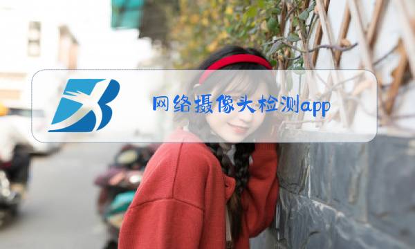 网络摄像头检测app图片