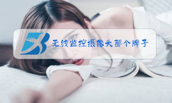 无线监控摄像头那个牌子好图片