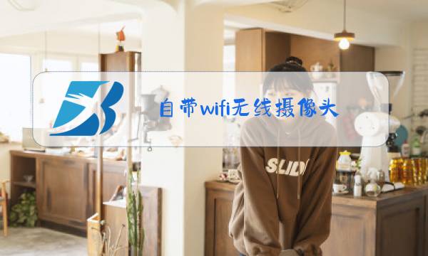 自带wifi无线摄像头图片