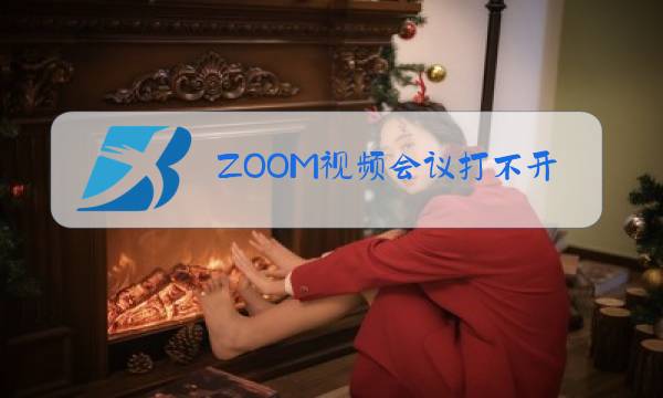 ZOOM视频会议打不开摄像头图片