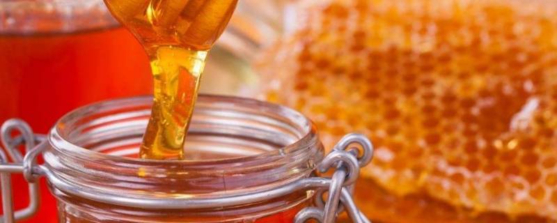 土蜂蜜带苦味怎么回事