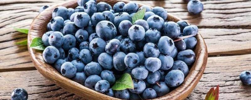 蓝莓里面的籽可以吃吗