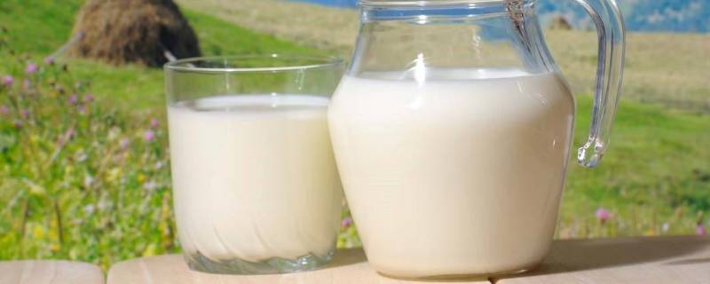 纯牛奶保质期一年正常吗