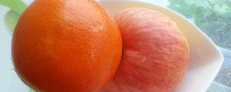 橙子和苹果哪个糖分高