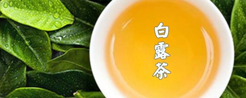 白露茶的功效与作用