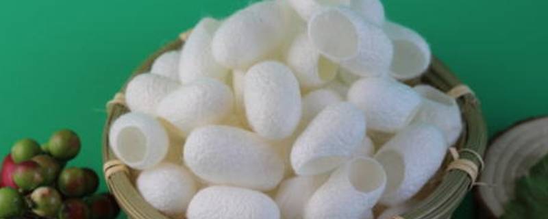 煮蚕茧要加什么东西吗?