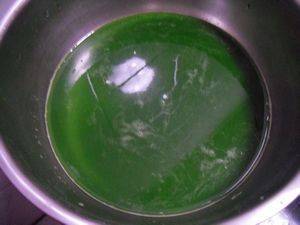 什么菜汁和面颜色最绿