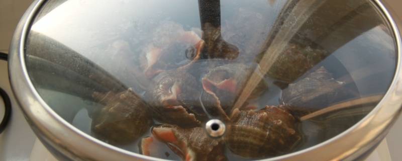 煮海螺是冷水还是热水煮需要多少时间