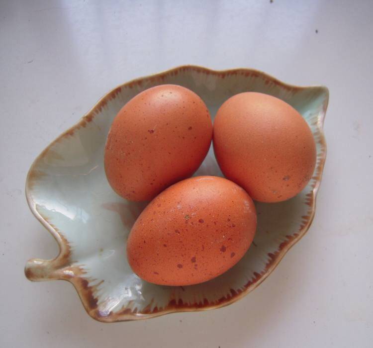 鸡蛋怎么做好吃又简单家常菜