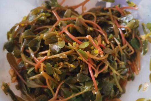 麻子菜做法