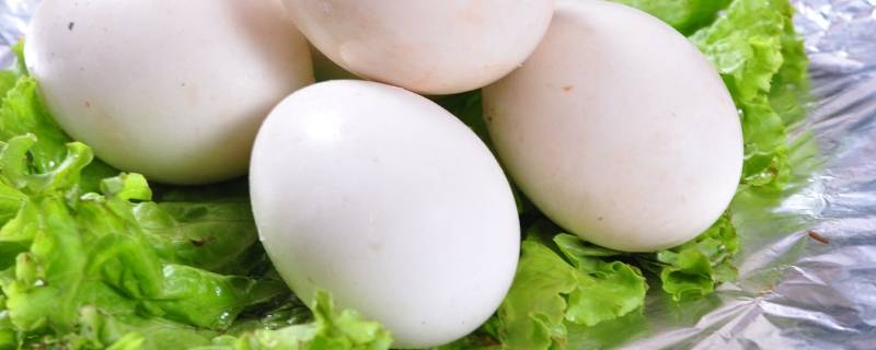 生鹅蛋放冰箱能放多久