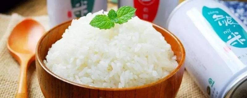 米饭保温一夜能吃吗