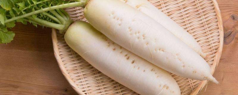 白萝卜常温下怎么保存