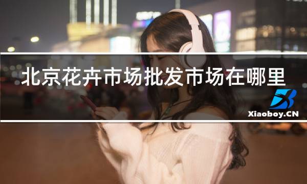 http://pic5.5d.ink/yeye/bjhhscpfscz.jpg