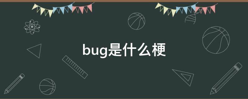 bug是什么梗