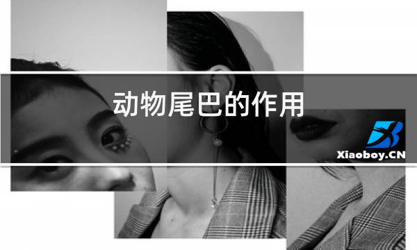 http://pic5.5d.ink/yeye/dwwbdzy.jpg
