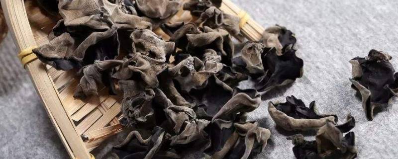 木耳泡好了控水第二天能吃吗