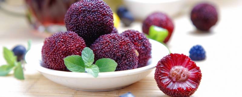 洗好的杨梅怎么保存