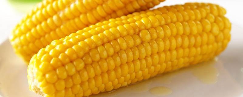玉米是高纤维食物吗