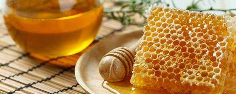 蜂蜜的种类