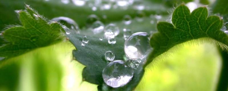 2020年梅雨季节何时结束