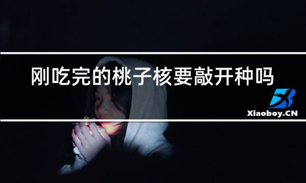 刚吃完的桃子核要敲开种吗